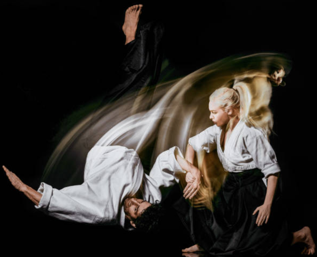 jujitsu art martial japonais